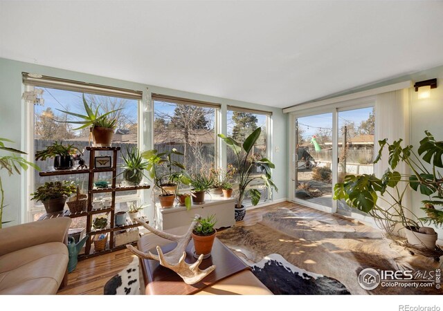 view of sunroom / solarium