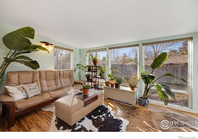 living room with hardwood / wood-style flooring