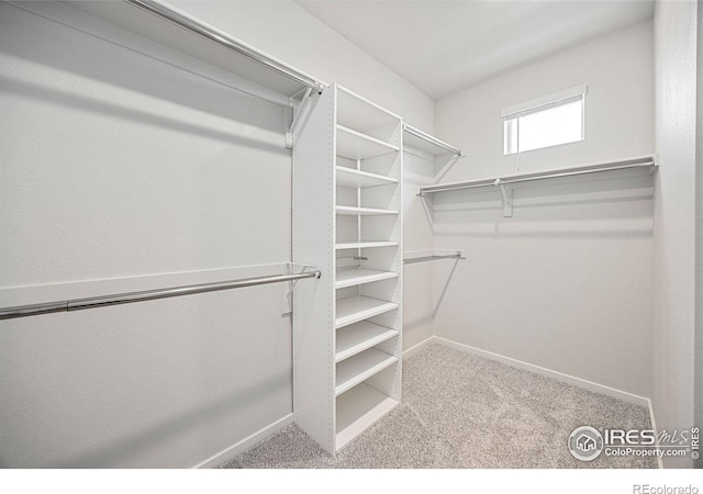 spacious closet with carpet floors