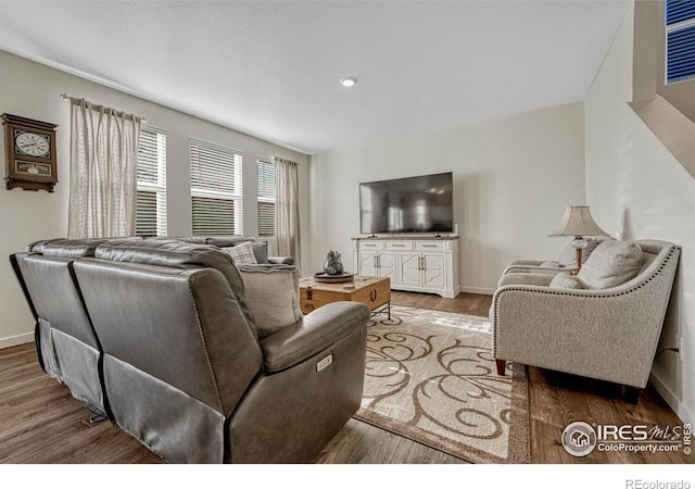 living room featuring hardwood / wood-style floors