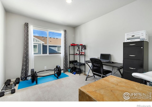 home office with carpet flooring