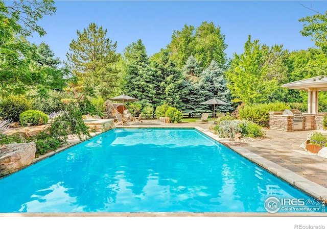 view of pool with a patio and exterior kitchen