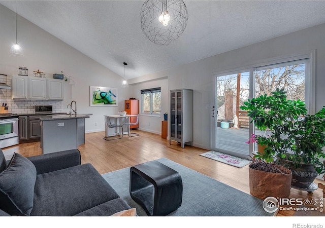 living room with light hardwood / wood-style flooring, a healthy amount of sunlight, and a textured ceiling