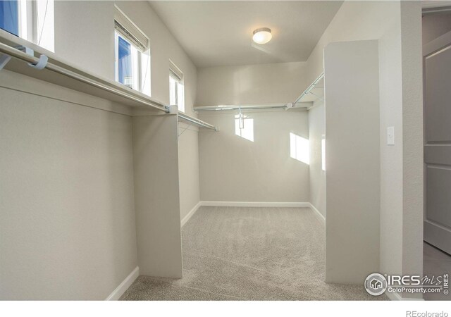 spacious closet featuring light carpet