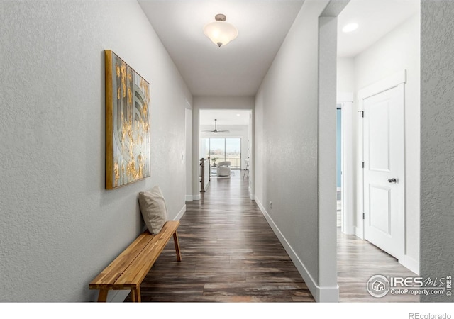 hallway featuring dark hardwood / wood-style flooring