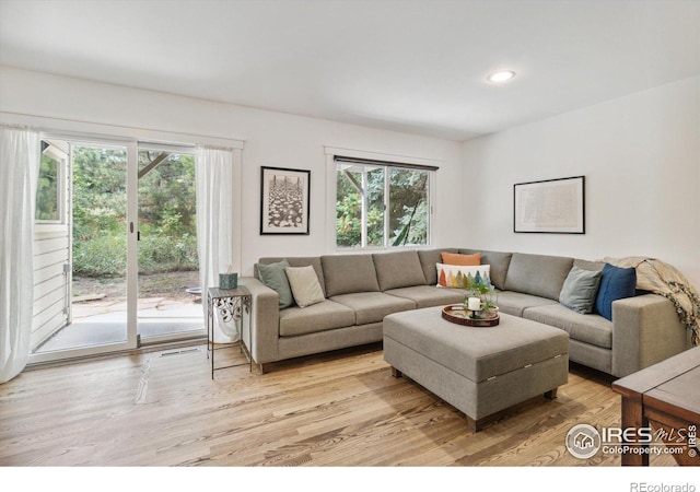 living room with light hardwood / wood-style flooring