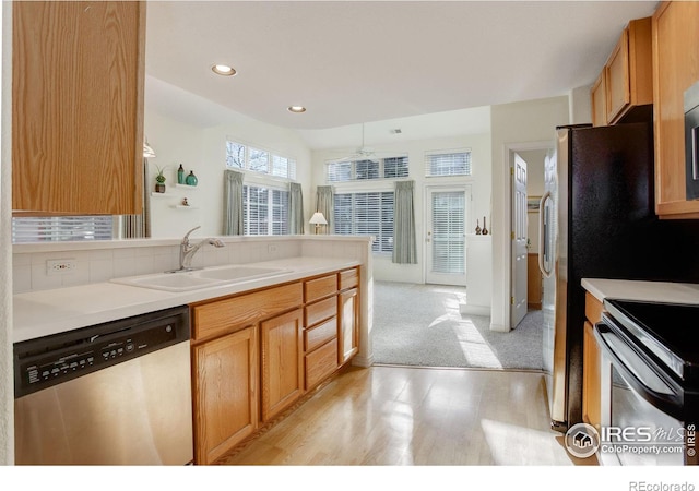 kitchen with ceiling fan, light hardwood / wood-style floors, sink, and stainless steel appliances