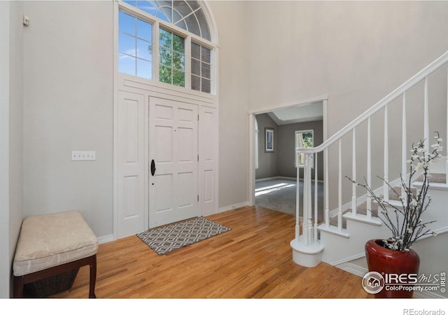 foyer with hardwood / wood-style floors