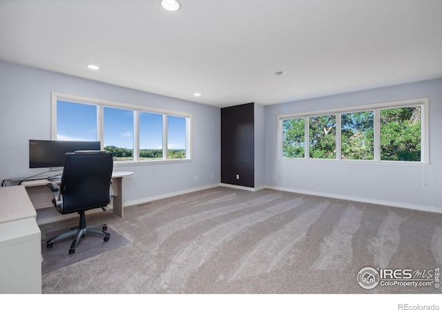 carpeted office space with a wealth of natural light