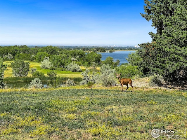 water view with a rural view