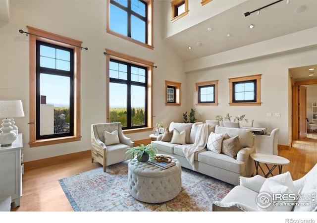 living room featuring a high ceiling and light wood-type flooring