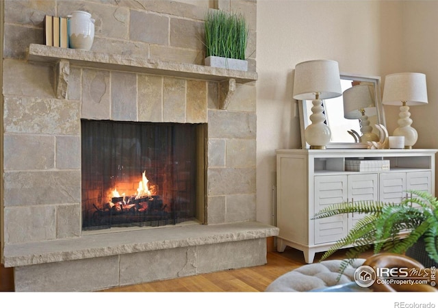 room details featuring hardwood / wood-style floors and a fireplace