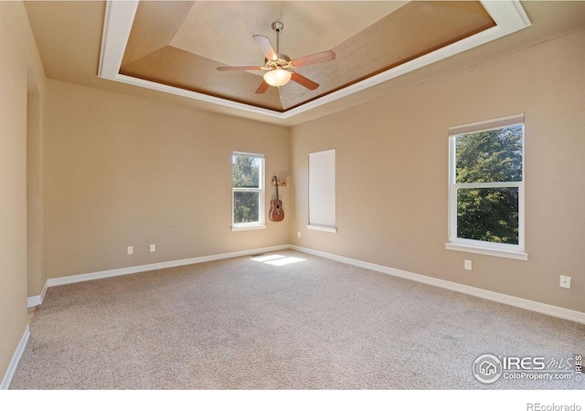 spare room featuring a wealth of natural light, carpet floors, a raised ceiling, and ceiling fan