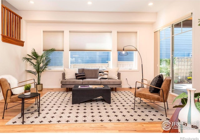 living room with wood-type flooring