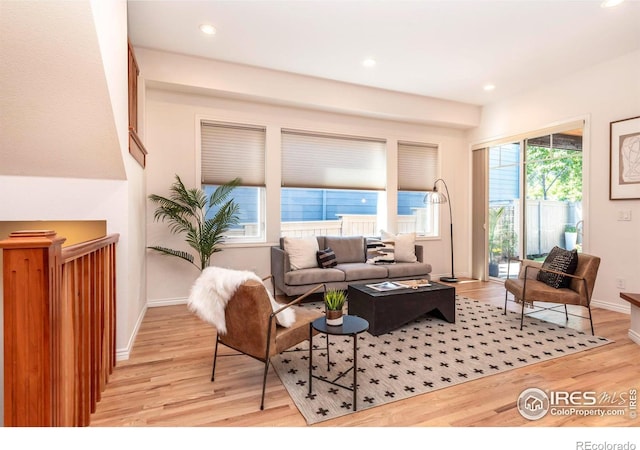 living room featuring plenty of natural light and light wood-type flooring