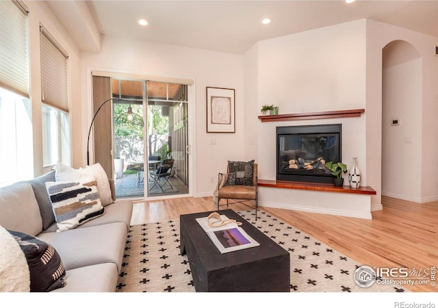 living room with light hardwood / wood-style floors