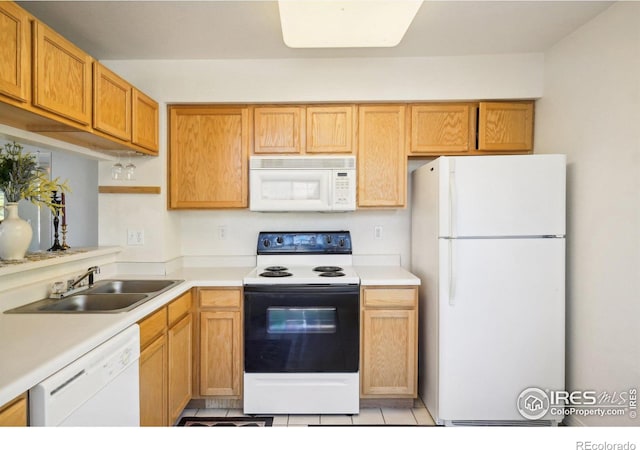 6720 Antigua Dr, Fort Collins, CO 80525 - photo 9