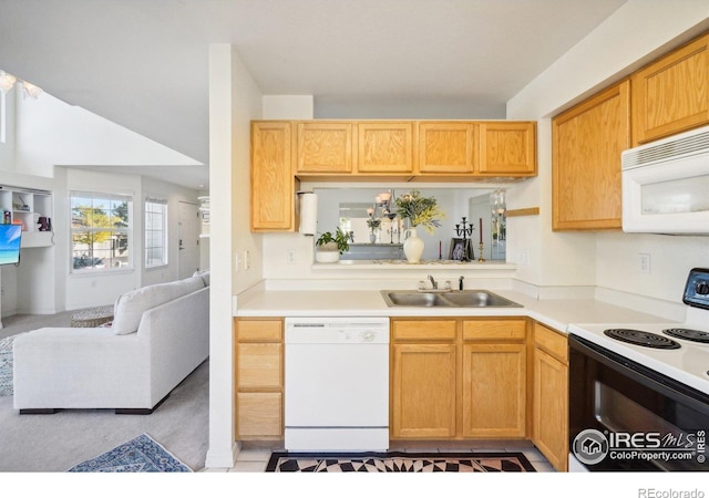 6720 Antigua Dr, Fort Collins, CO 80525 - photo 12