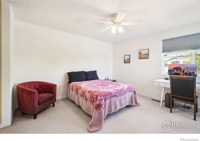 6720 Antigua Dr, Fort Collins, CO 80525 - photo 17