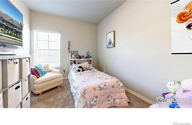 bedroom with carpet flooring