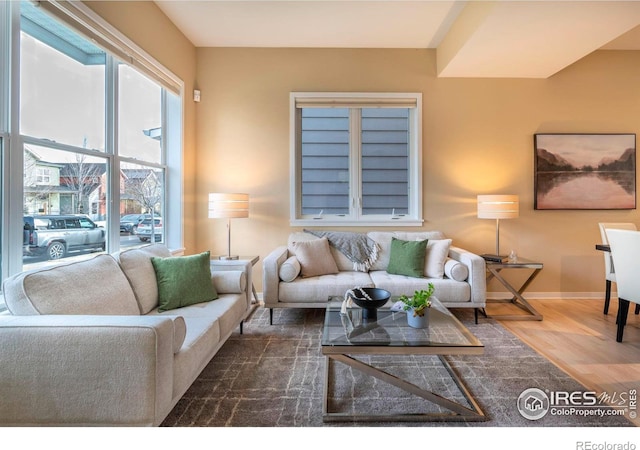 living room with wood finished floors and baseboards