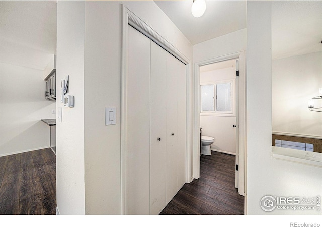 hallway with dark wood-type flooring