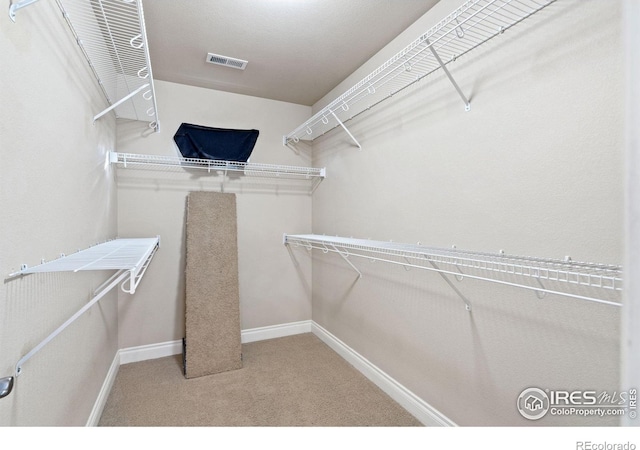 spacious closet with carpet