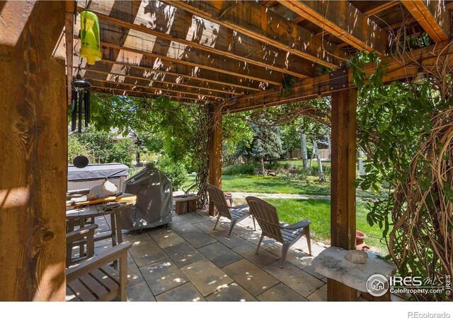 view of patio / terrace with grilling area and a pergola