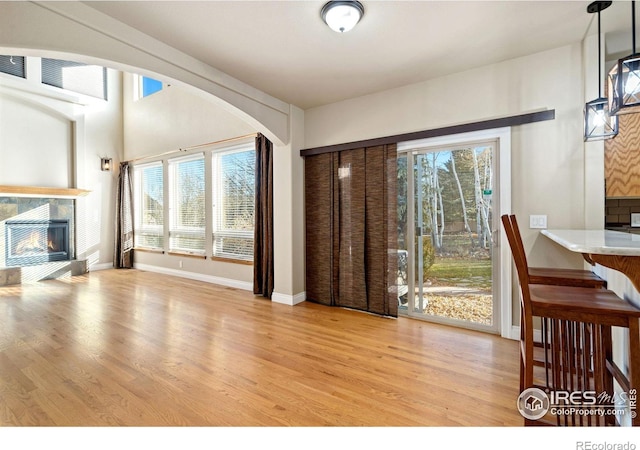 interior space with a tiled fireplace, light hardwood / wood-style floors, and a wealth of natural light