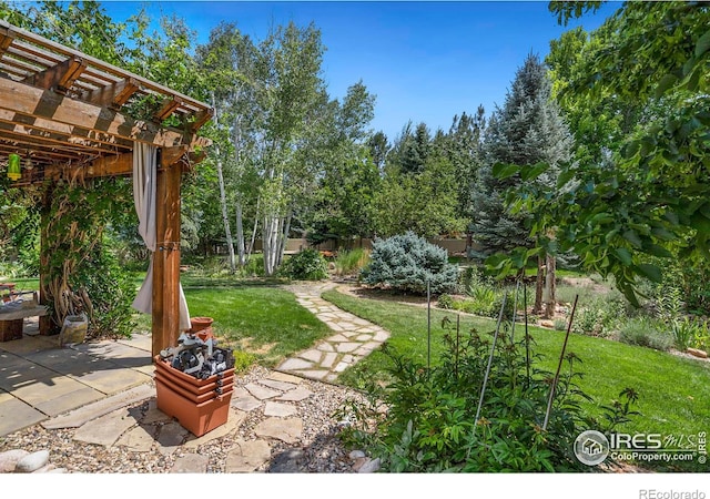 view of yard featuring a pergola and a patio area