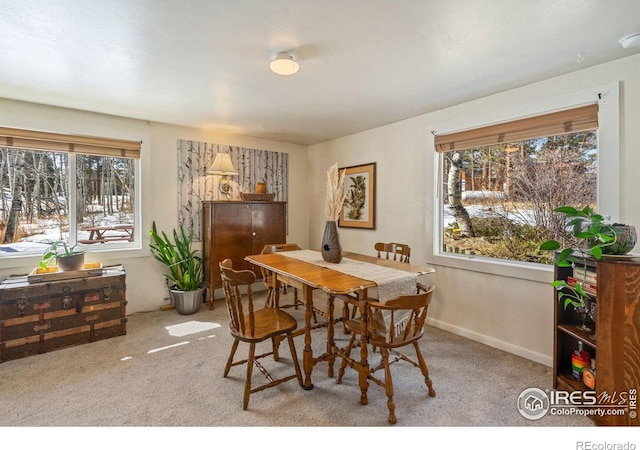 carpeted dining area with plenty of natural light