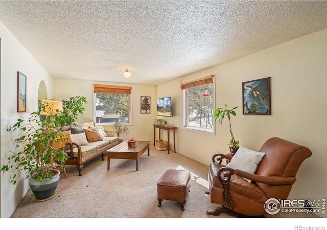 living room featuring light colored carpet, a healthy amount of sunlight, and a textured ceiling