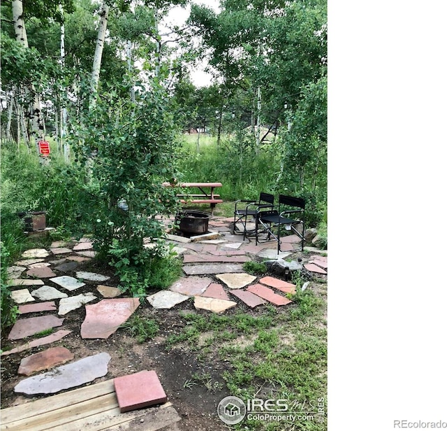 view of yard featuring a patio