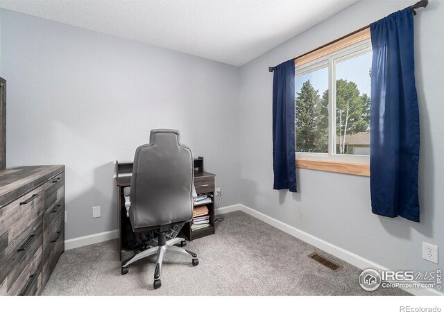 home office with carpet flooring