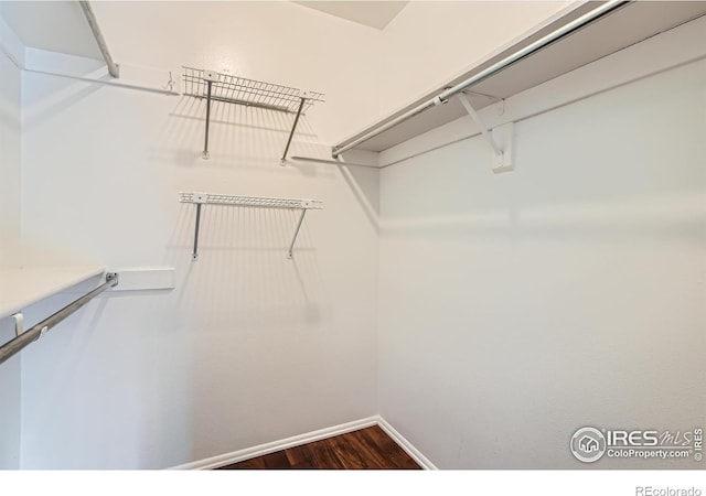 spacious closet featuring dark wood-type flooring