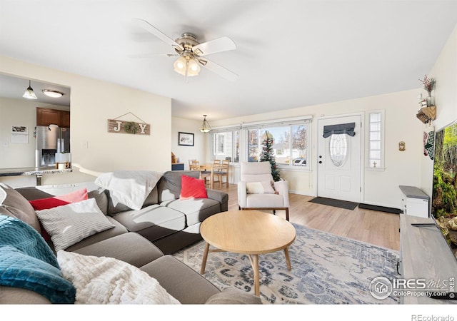 living room with ceiling fan and light hardwood / wood-style floors