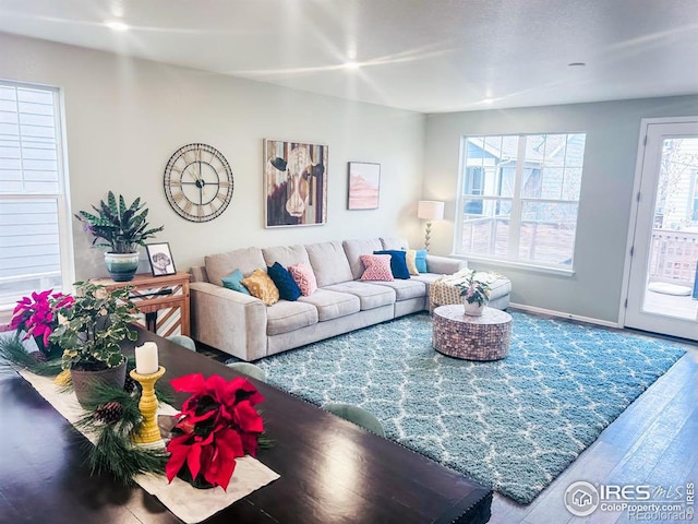 living room featuring hardwood / wood-style floors