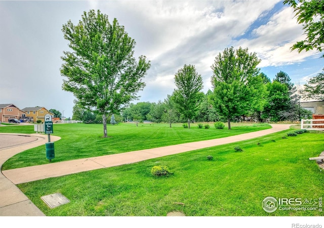 view of community featuring a yard