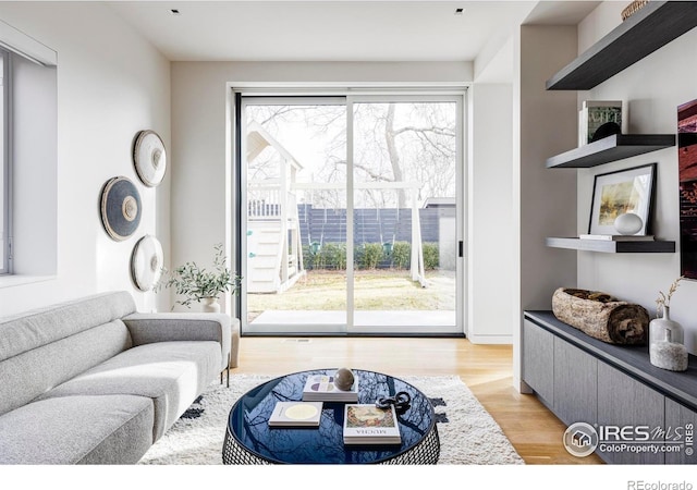 living room with light wood-type flooring