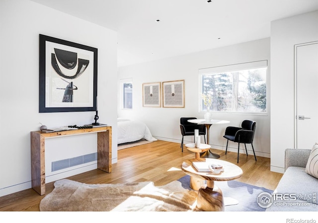 living room with hardwood / wood-style flooring