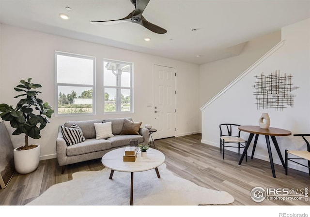 living room with ceiling fan and wood-type flooring