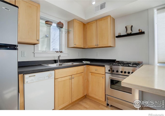 kitchen with light brown cabinets, stainless steel appliances, and a wealth of natural light