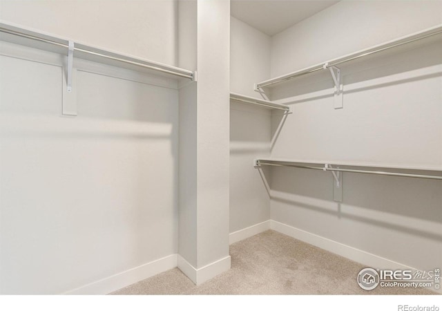 spacious closet with light carpet