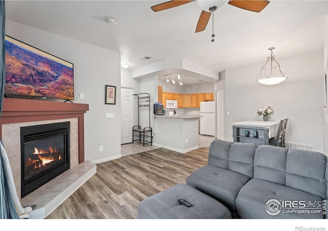 living room featuring a chandelier, a fireplace, and light hardwood / wood-style flooring