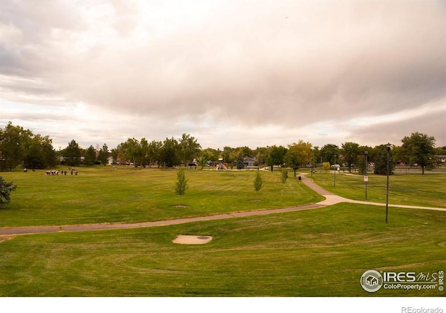 view of community with a yard