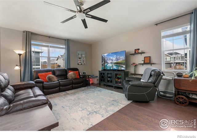 living room with ceiling fan and dark hardwood / wood-style flooring