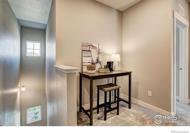 interior space with light colored carpet