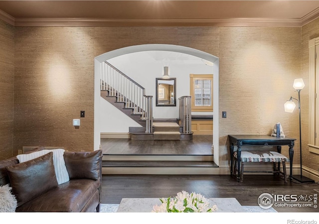 interior space featuring ornamental molding and dark wood-type flooring