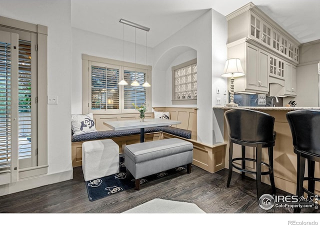 dining room featuring a wealth of natural light, sink, and dark hardwood / wood-style floors