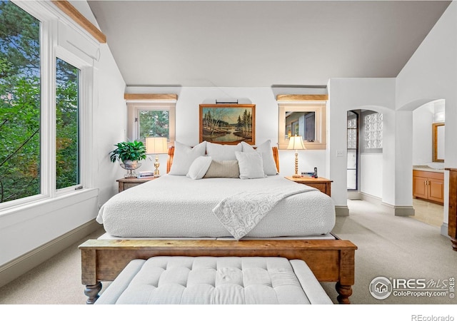 bedroom with connected bathroom, multiple windows, and light carpet